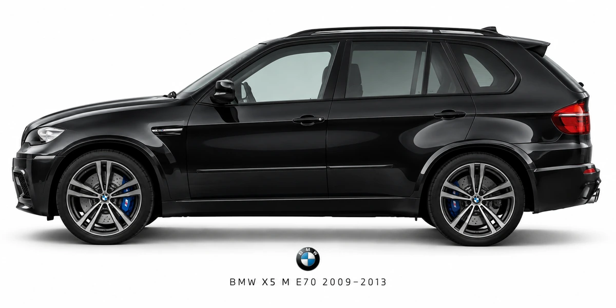 BMW X5 M E70 2009–2013