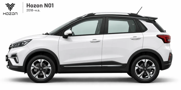 Hozon N01